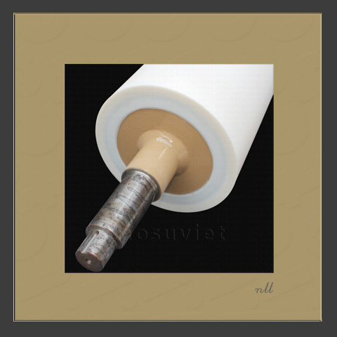 Trục Silicone phủ sơn